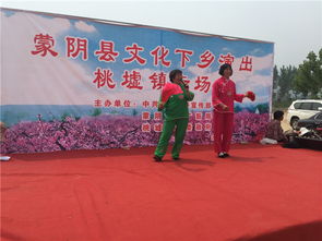 蒙陰桃墟鎮開展送文化下鄉文藝演出暨文化藝術交流活動